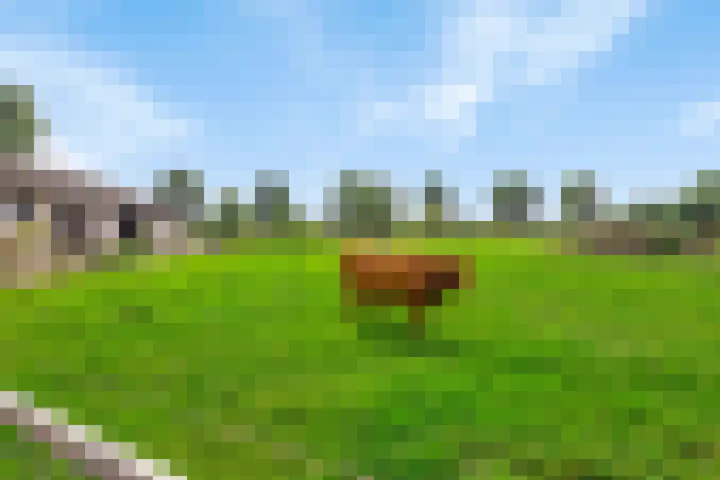 Isabellaweg 16 IJzendijke thumbnail 63