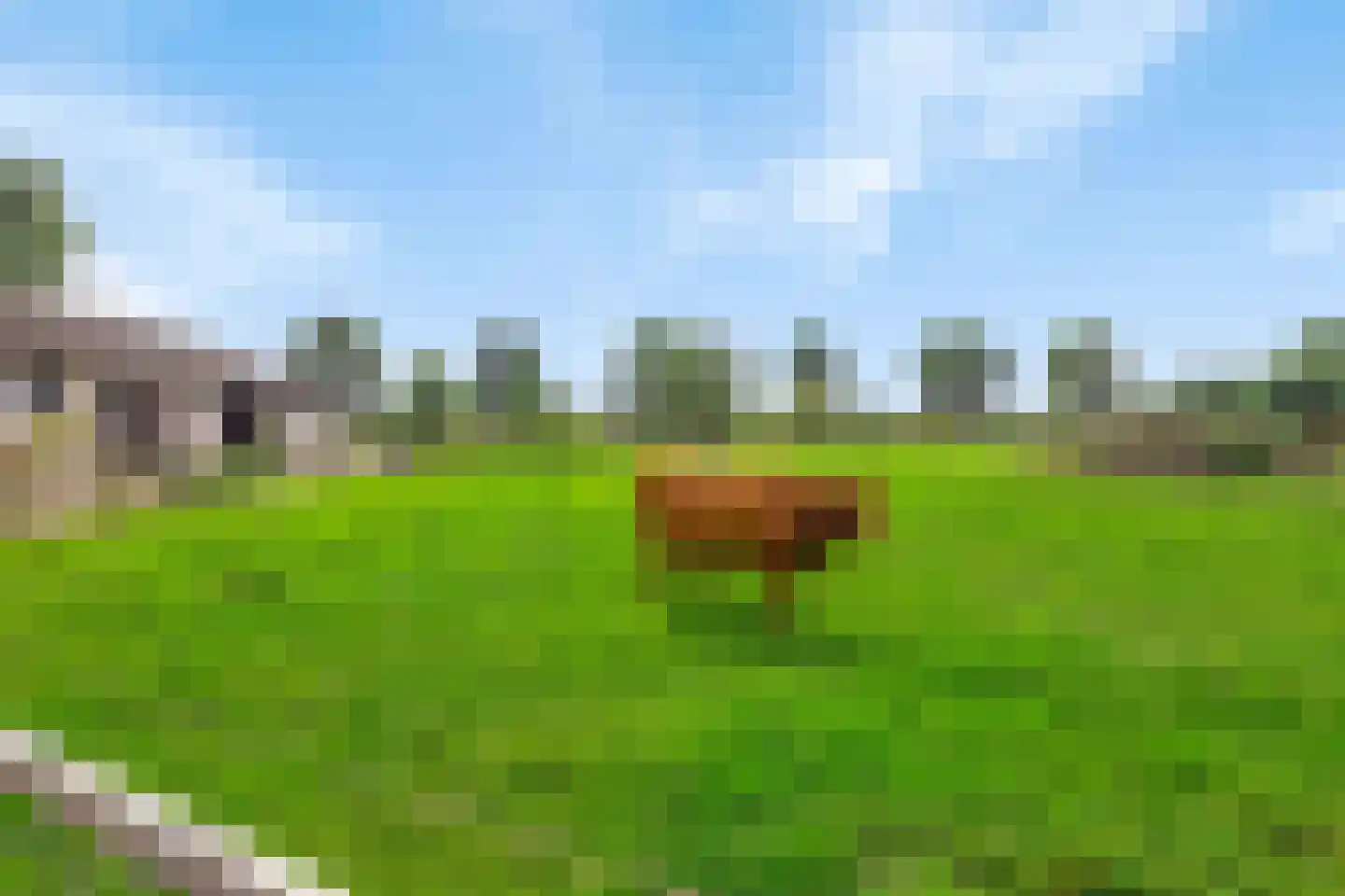 Isabellaweg 16 IJzendijke thumbnail 64