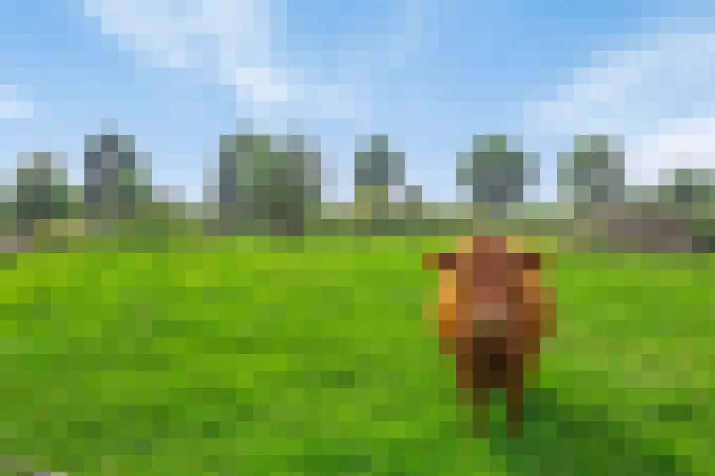 Isabellaweg 16 IJzendijke thumbnail 65