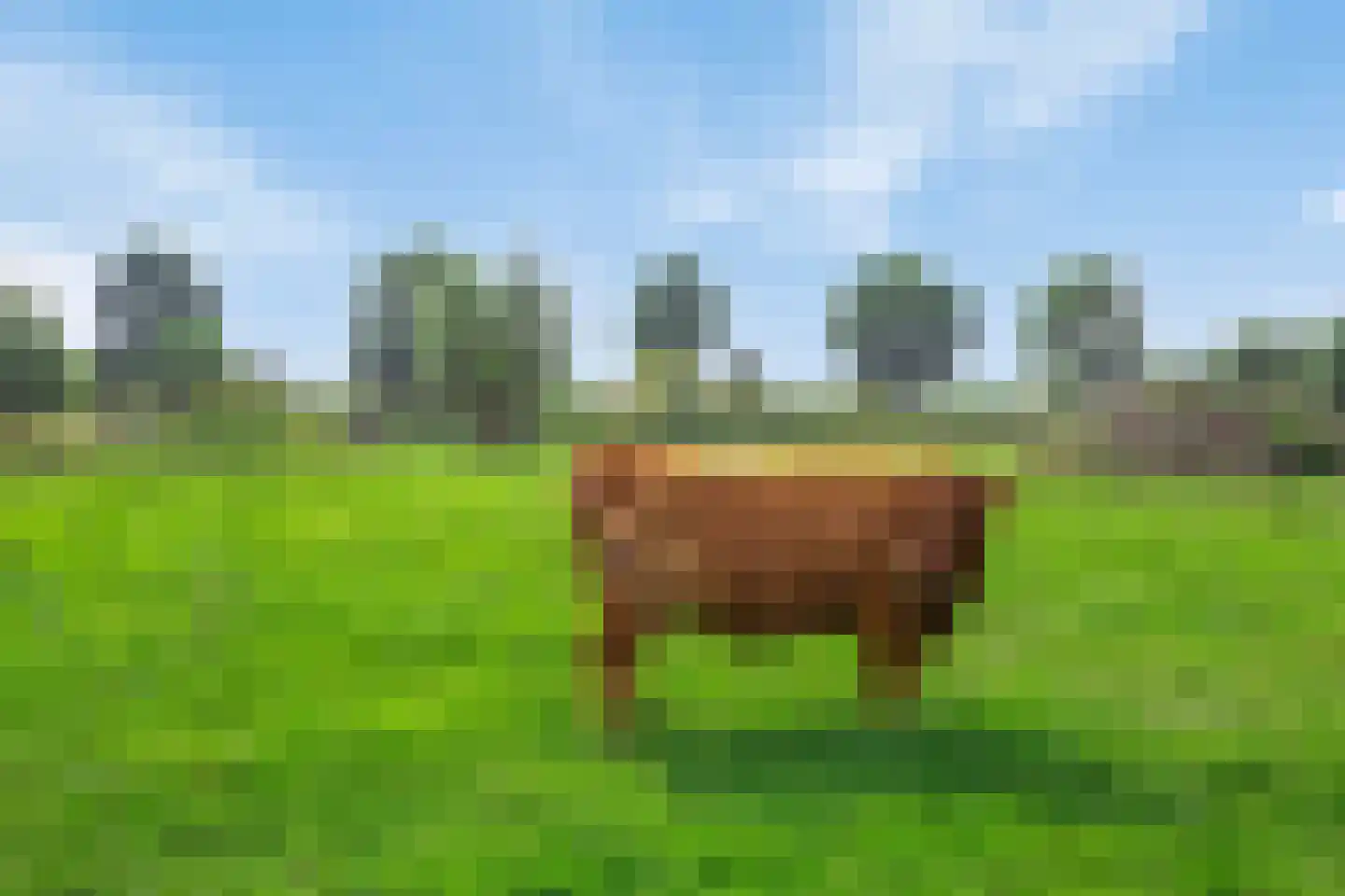 Isabellaweg 16 IJzendijke thumbnail 65