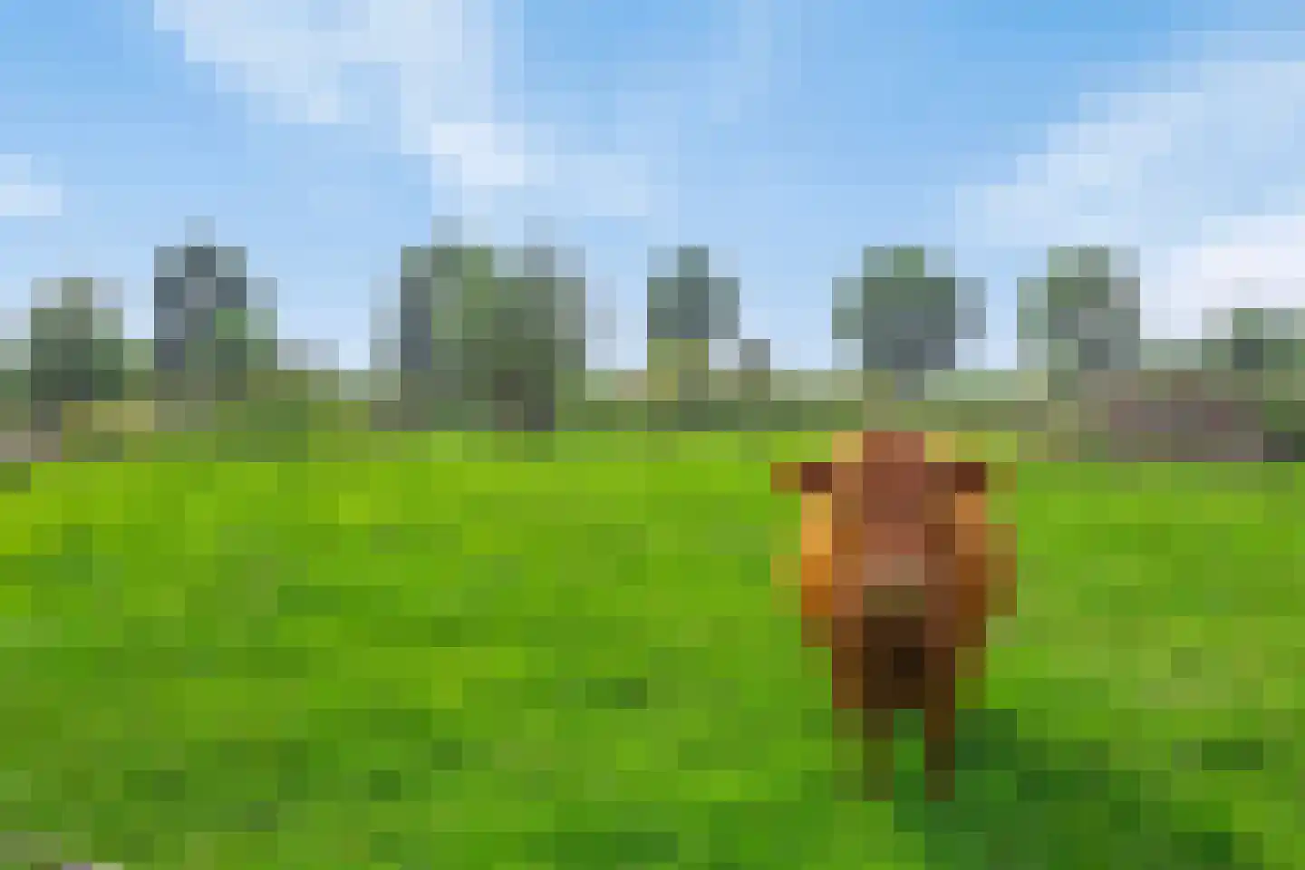Isabellaweg 16 IJzendijke thumbnail 66