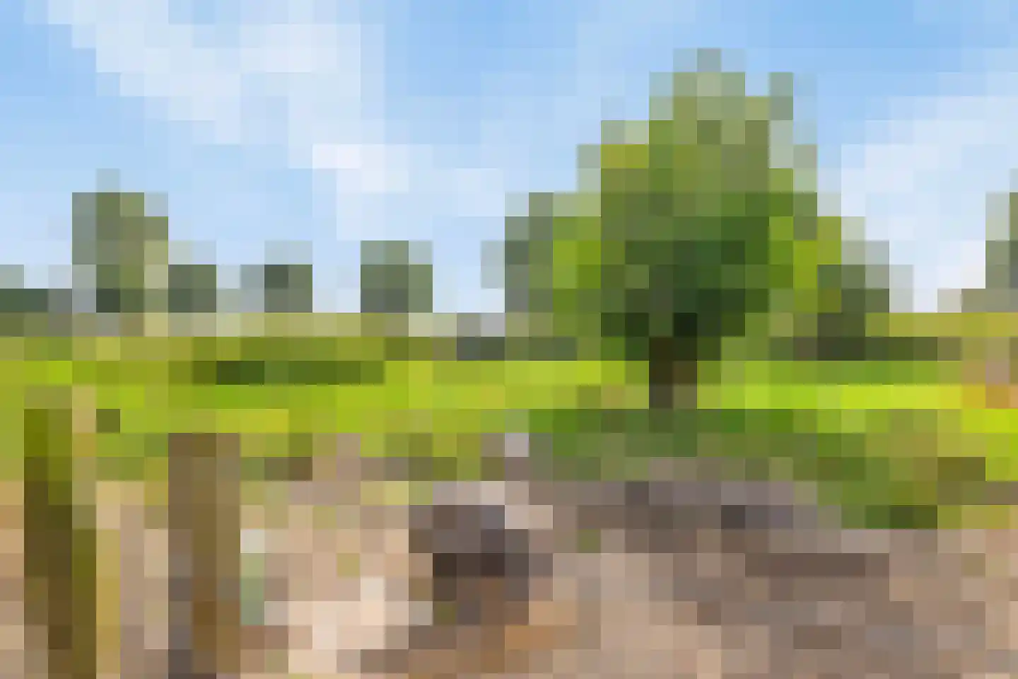 Isabellaweg 16 IJzendijke thumbnail 67