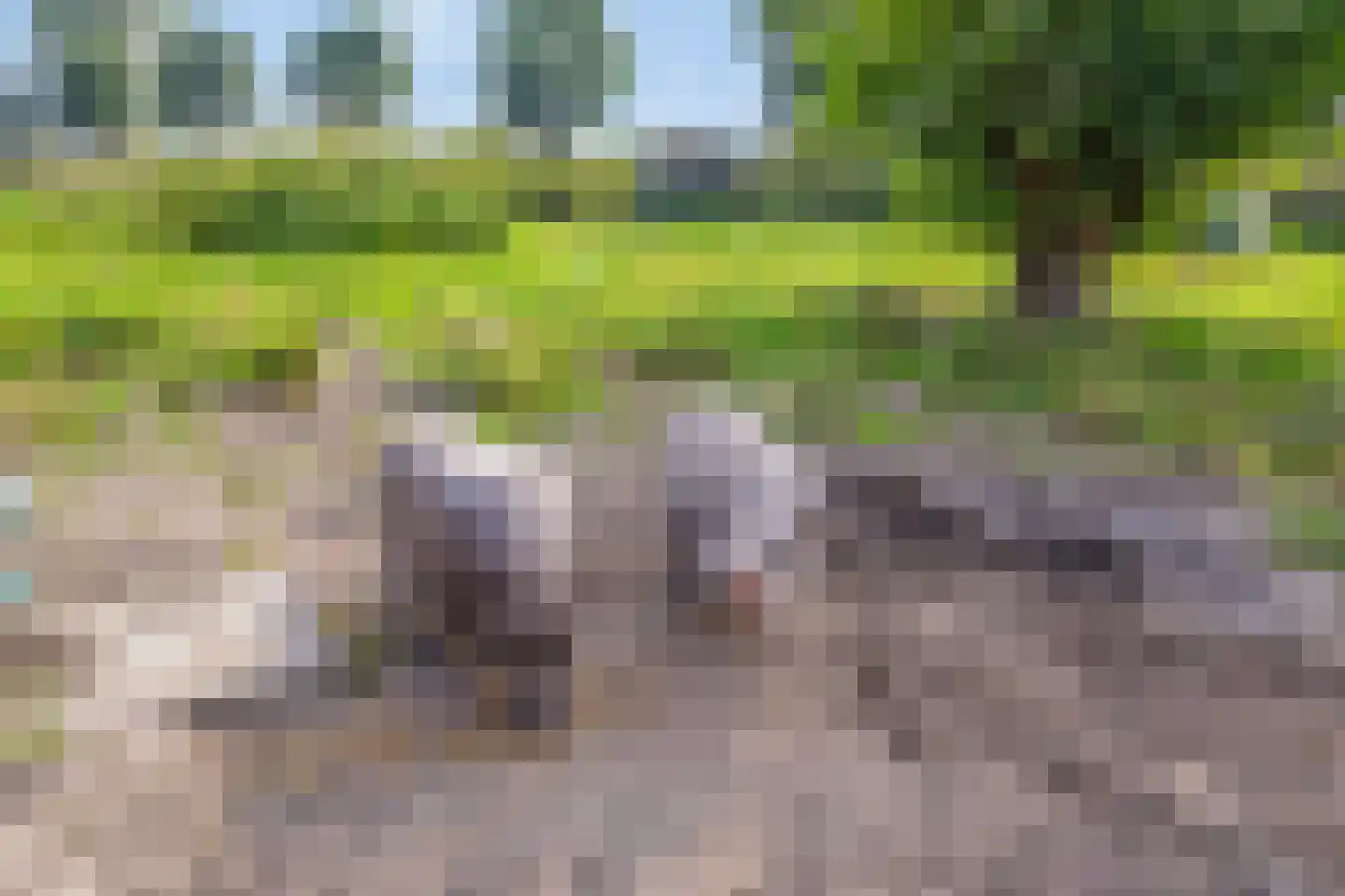 Isabellaweg 16 IJzendijke thumbnail 68