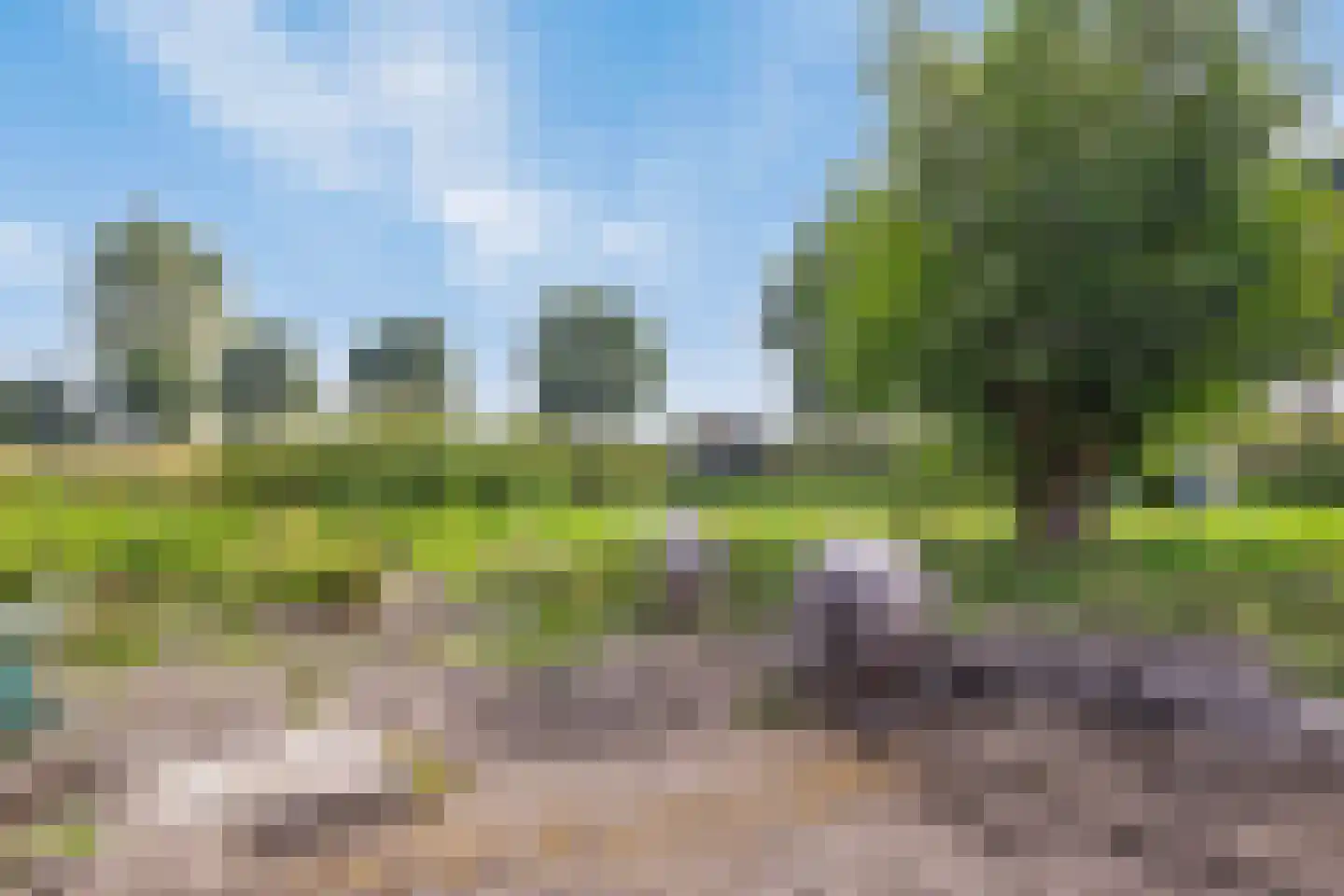 Isabellaweg 16 IJzendijke thumbnail 69