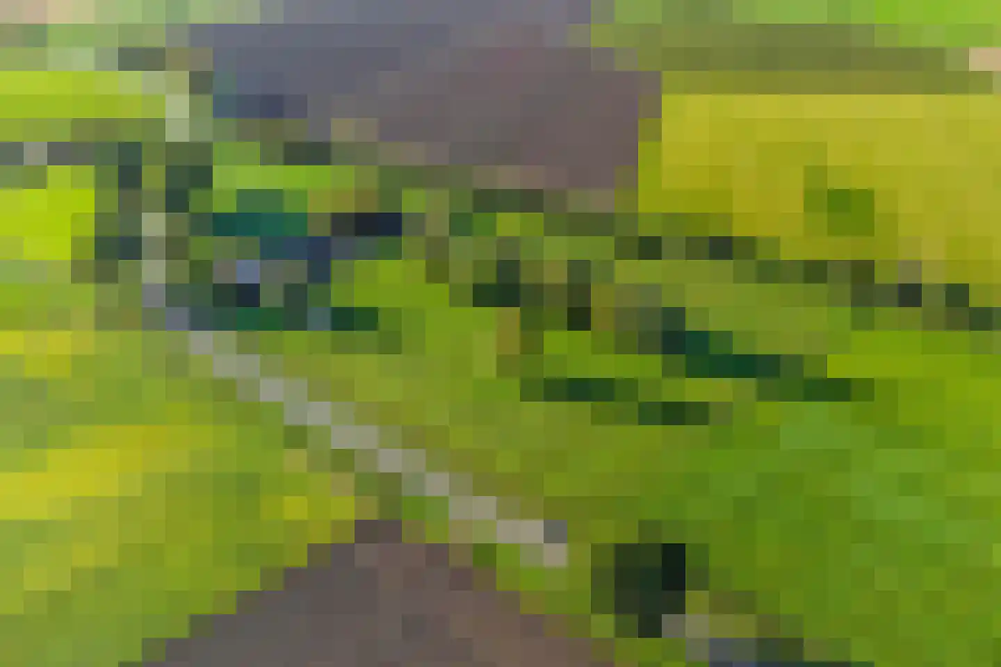 Isabellaweg 16 IJzendijke thumbnail 77