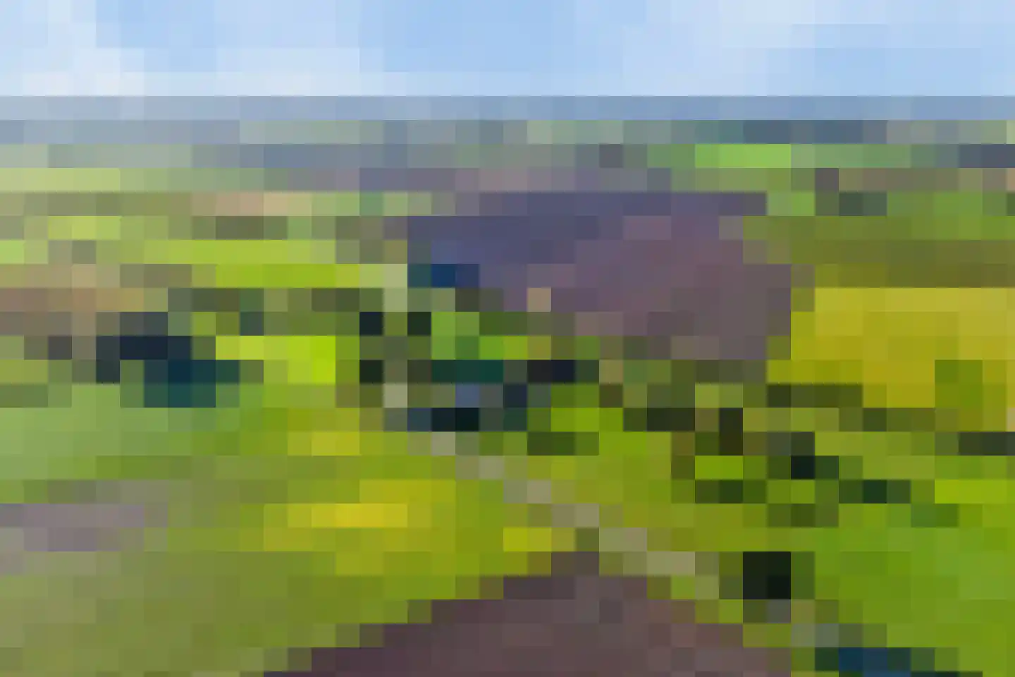 Isabellaweg 16 IJzendijke thumbnail 83