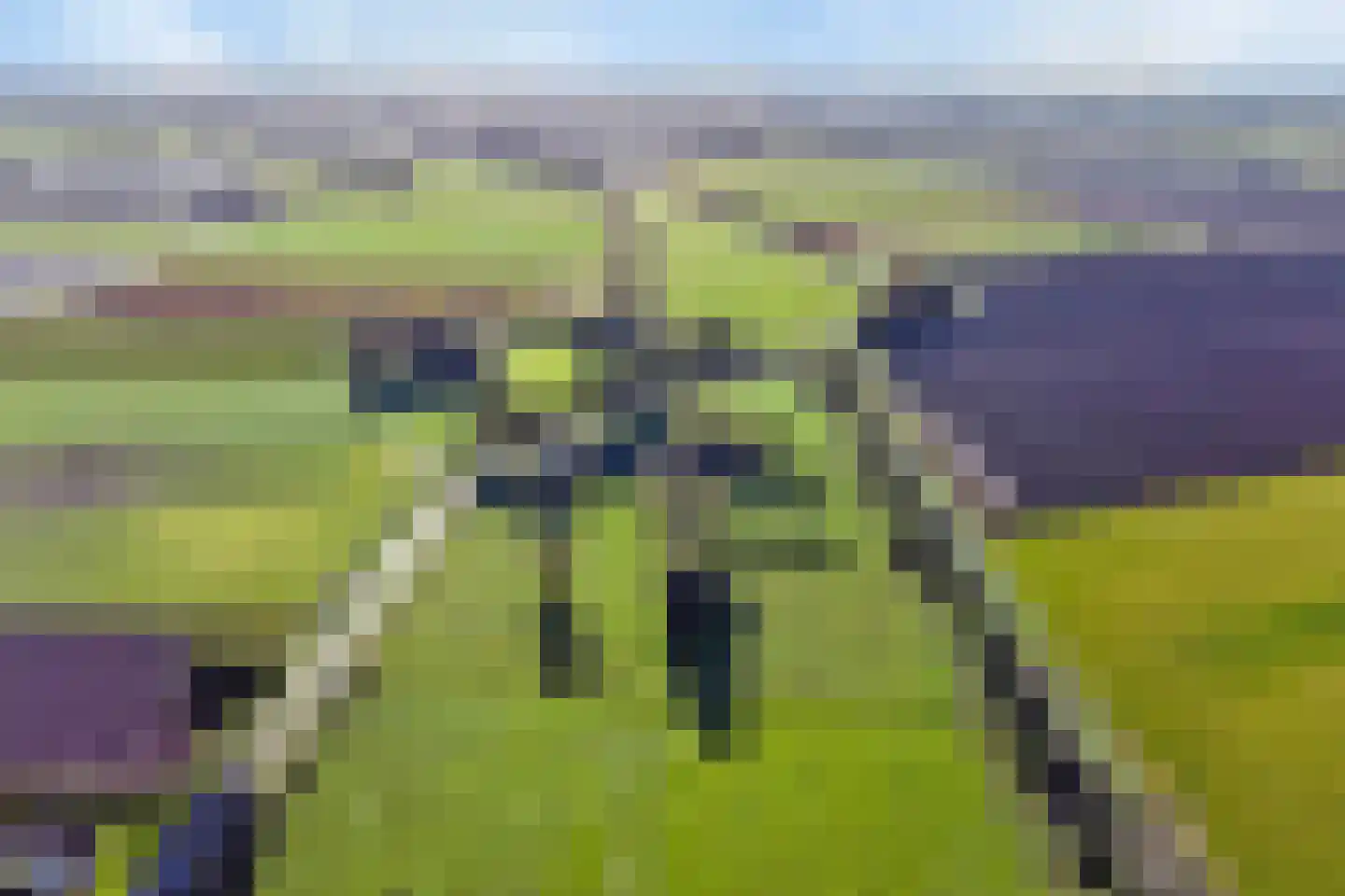 Isabellaweg 16 IJzendijke thumbnail 84