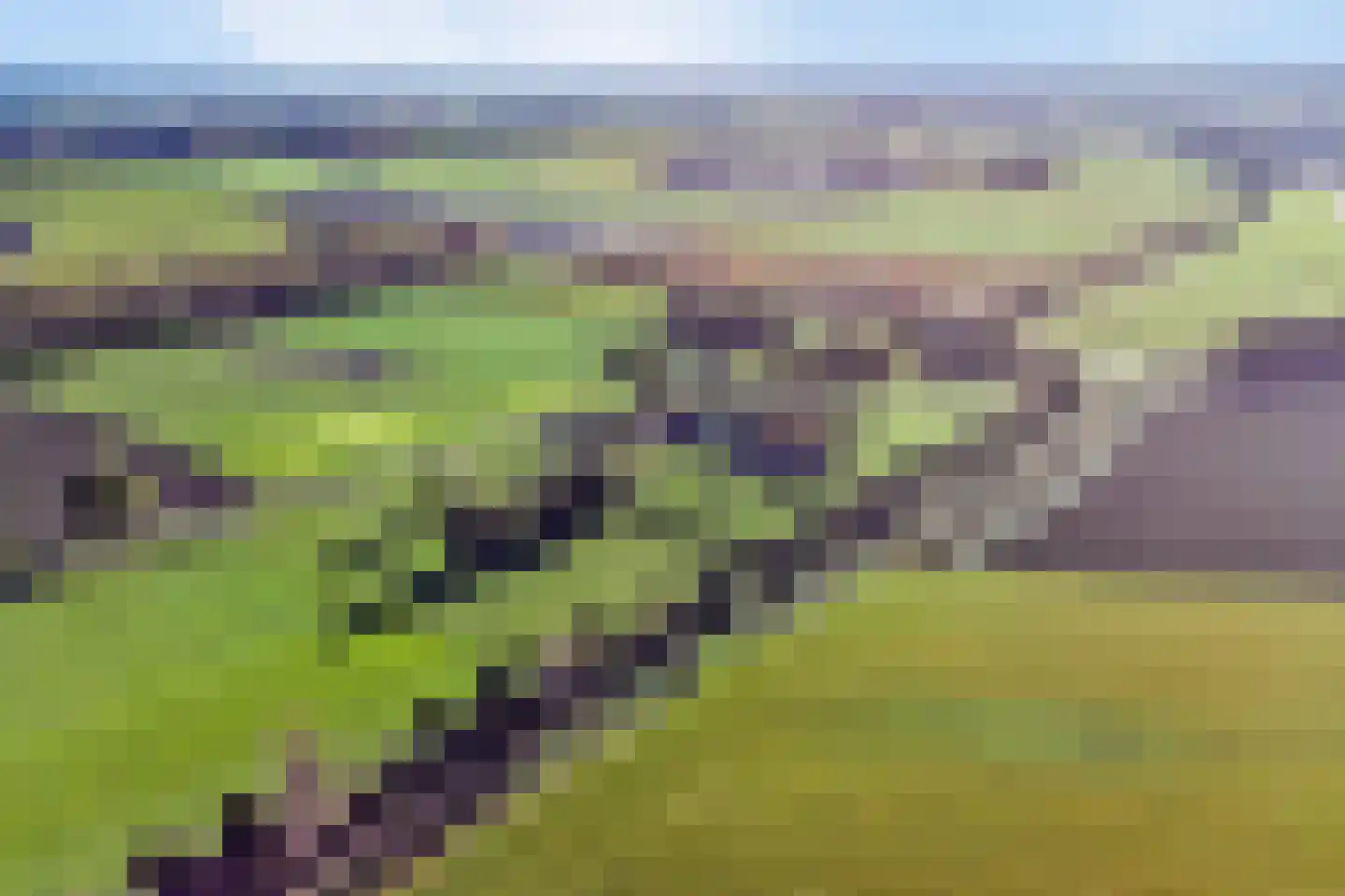 Isabellaweg 16 IJzendijke thumbnail 85