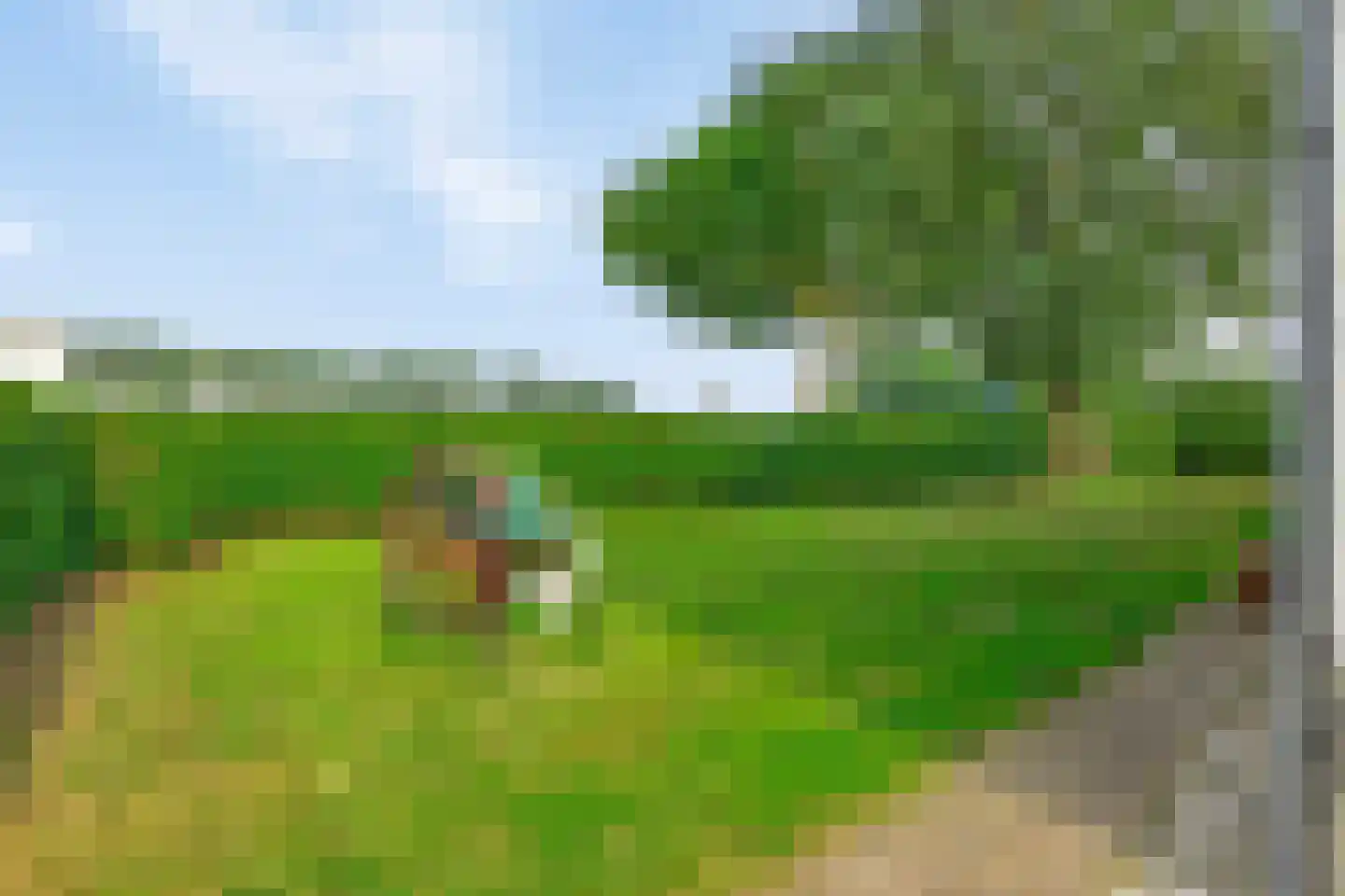 Isabellaweg 16 IJzendijke thumbnail 9