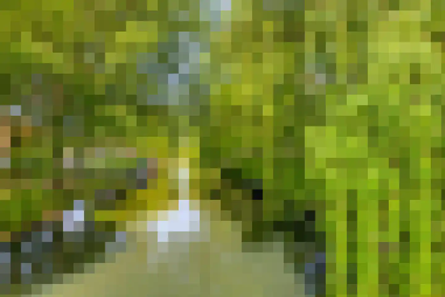 Isadora Duncanweg 25 Almere thumbnail 33