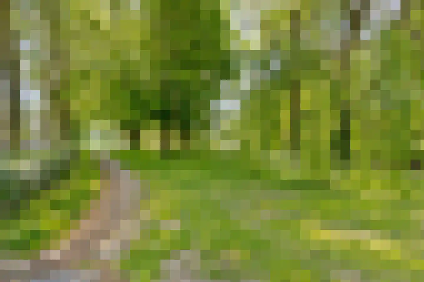 Isadora Duncanweg 25 Almere thumbnail 34
