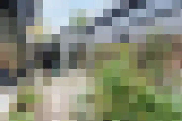 Isala Van Diesthof 5 Almere thumbnail 17