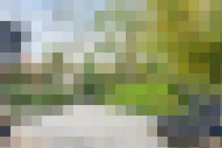 Isala Van Diesthof 5 Almere thumbnail 18