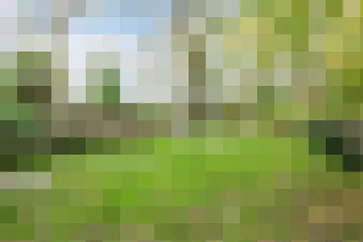 Isala Van Diesthof 5 Almere thumbnail 19