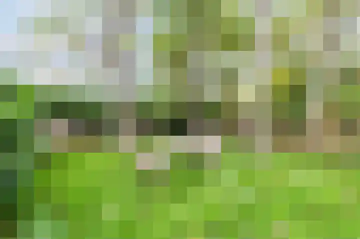 Isala Van Diesthof 5 Almere thumbnail 20