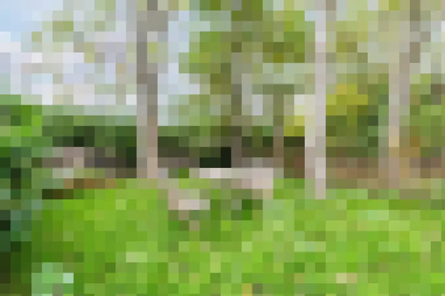 Isala Van Diesthof 5 Almere thumbnail 20
