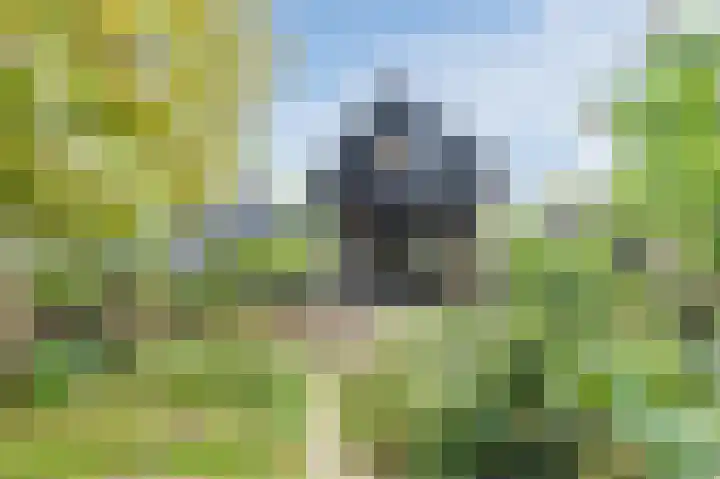 Isala Van Diesthof 5 Almere thumbnail 21