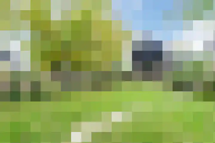 Isala Van Diesthof 5 Almere thumbnail 22