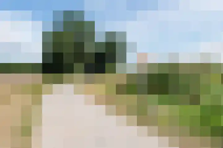 Isala Van Diesthof 5 Almere thumbnail 23