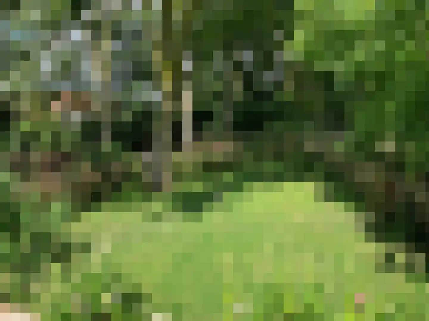 Isala Van Diesthof 5 Almere thumbnail 25