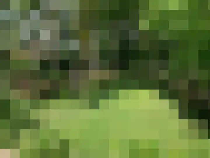 Isala Van Diesthof 5 Almere thumbnail 25