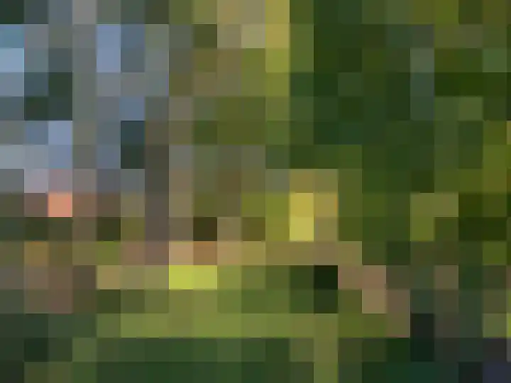 Isala Van Diesthof 5 Almere thumbnail 26