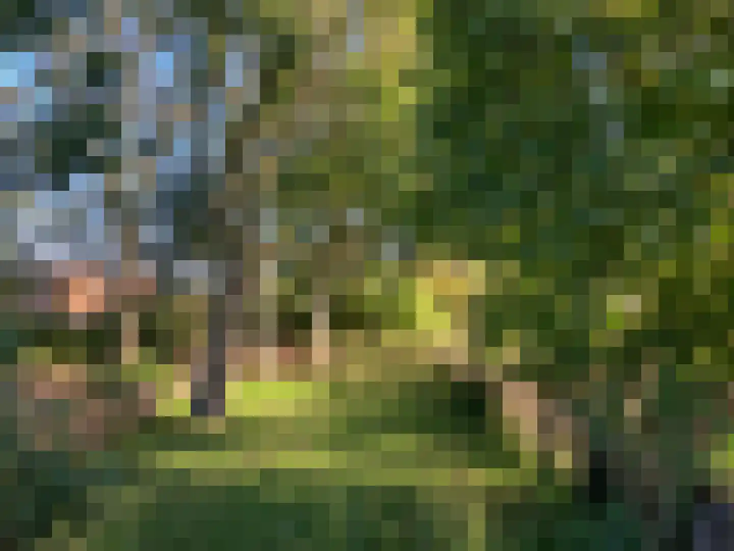 Isala Van Diesthof 5 Almere thumbnail 4