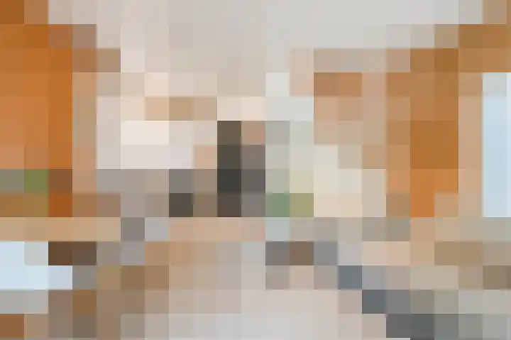 Isala Van Diesthof 5 Almere thumbnail 6