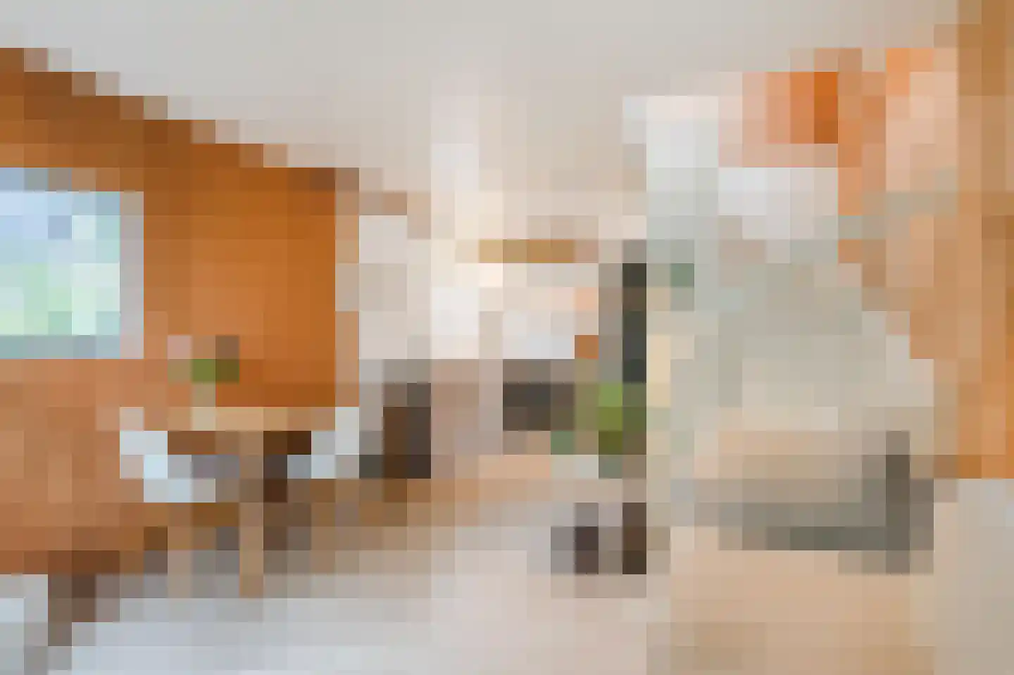 Isala Van Diesthof 5 Almere thumbnail 8