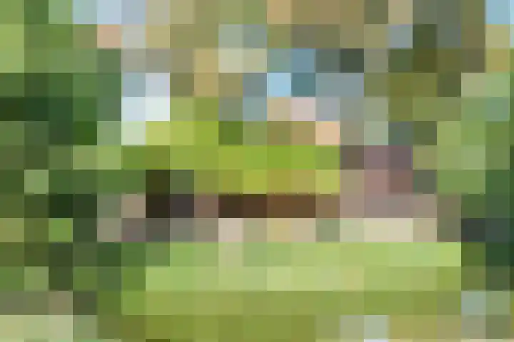 Isarstraat 14 Beverwijk thumbnail 29