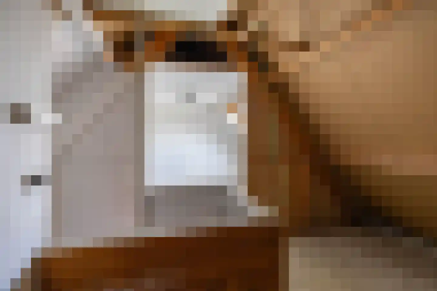 Isebrandtsheerd 103 Groningen thumbnail 32