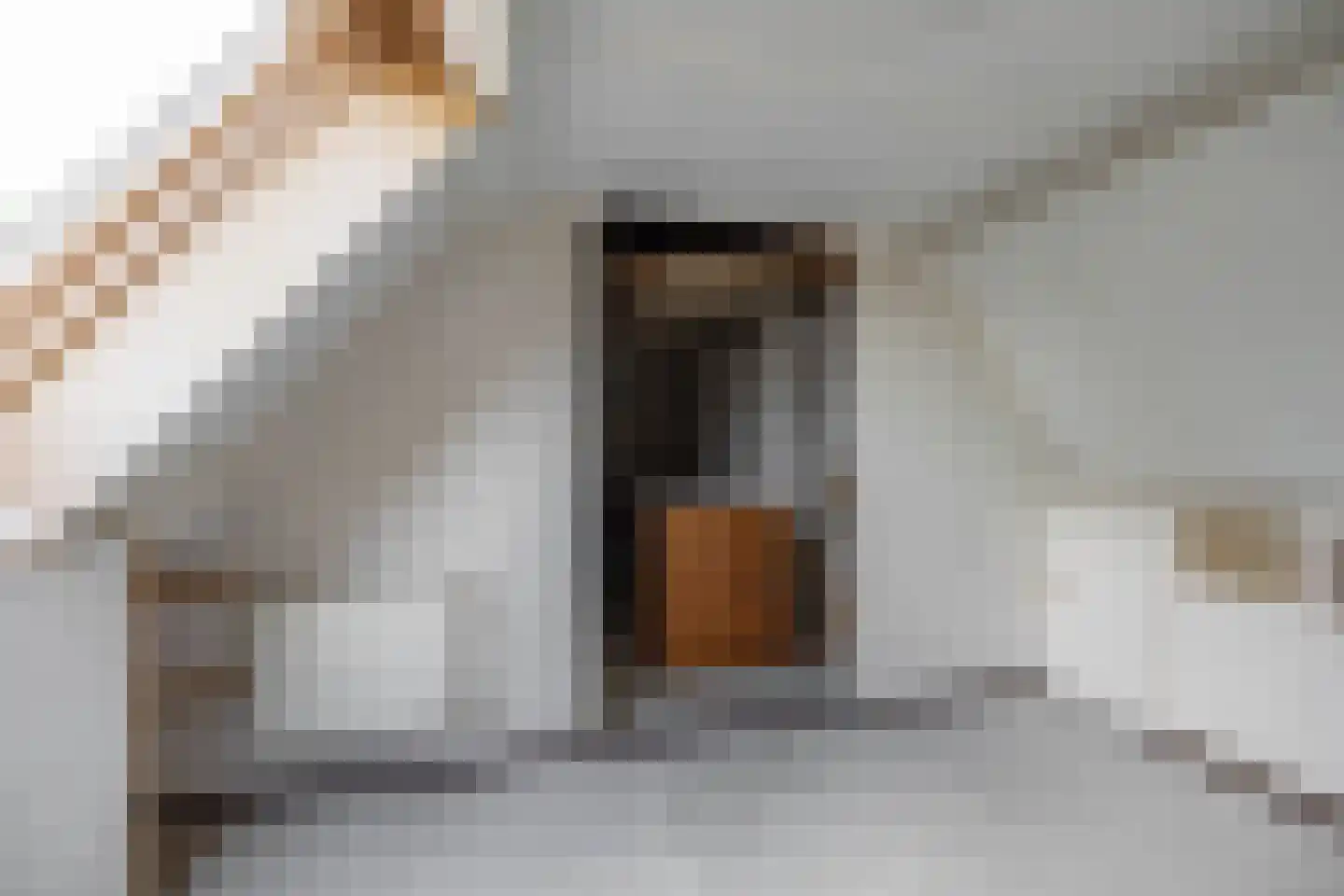 Isebrandtsheerd 103 Groningen thumbnail 34