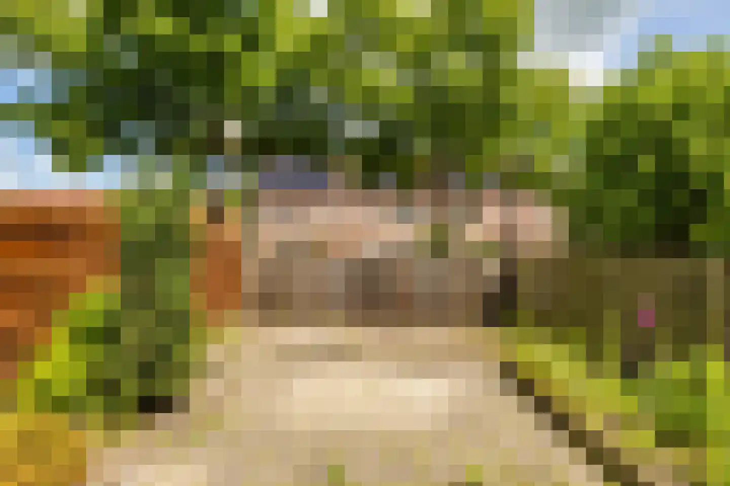 Isebrandtsheerd 103 Groningen thumbnail 35