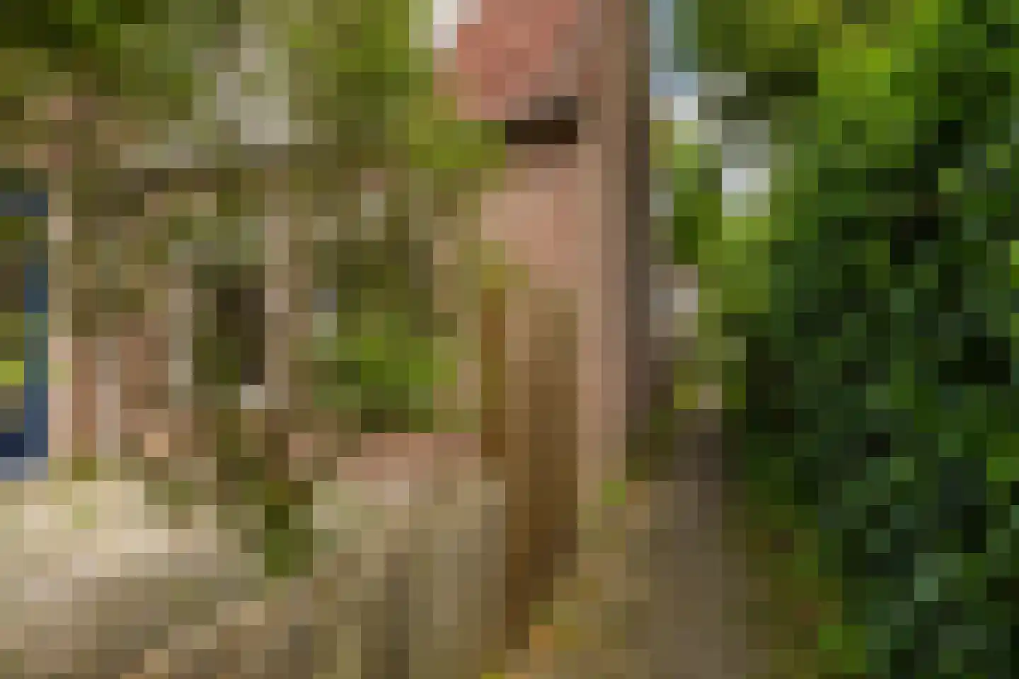 Isebrandtsheerd 103 Groningen thumbnail 38