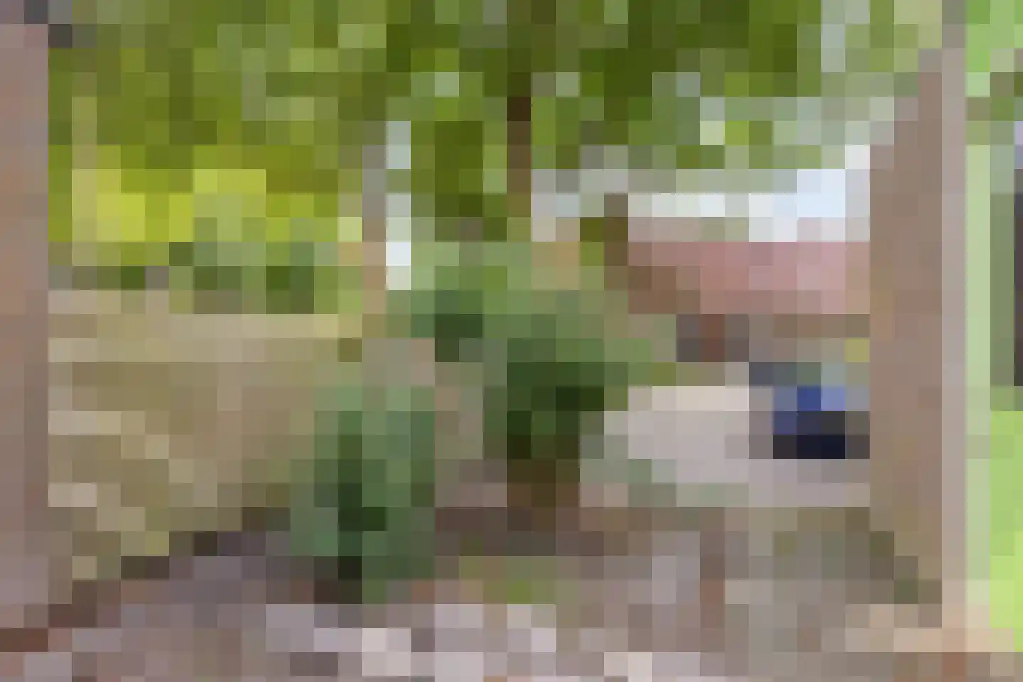 Isebrandtsheerd 106 Groningen thumbnail 11