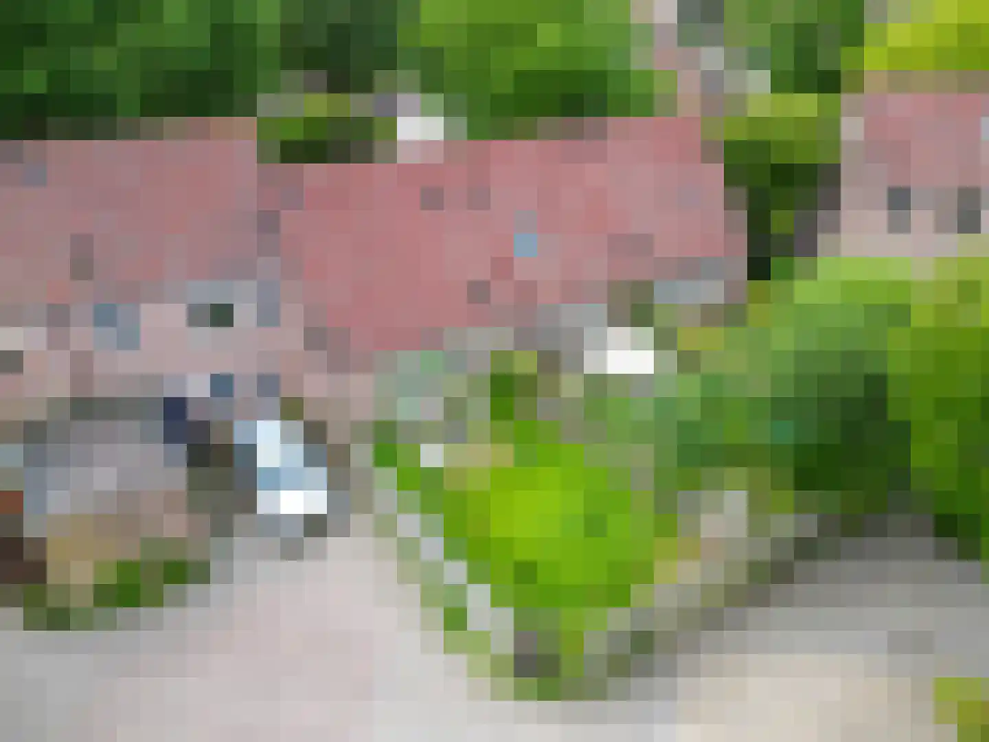 Isebrandtsheerd 106 Groningen thumbnail 4