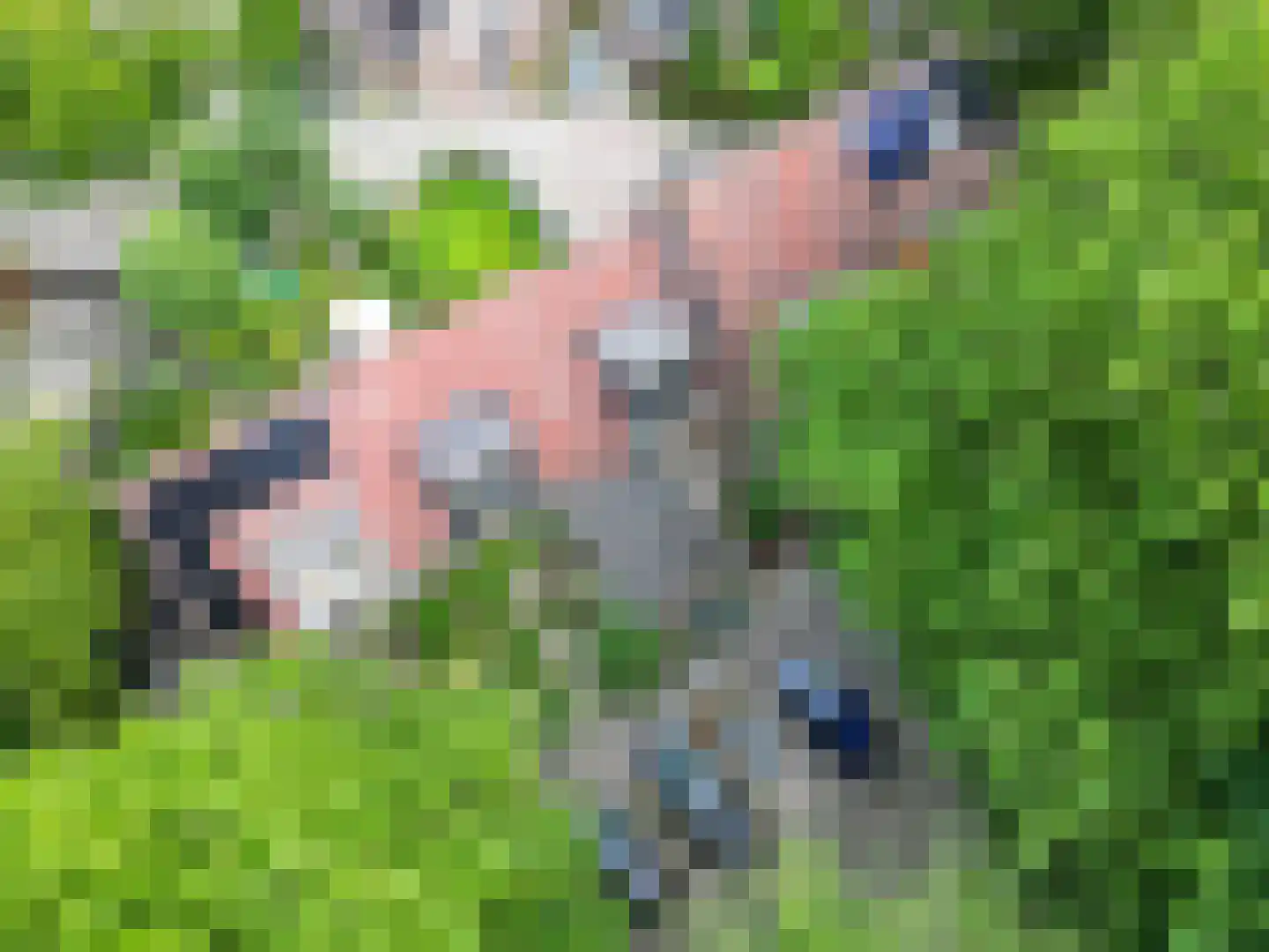Isebrandtsheerd 106 Groningen thumbnail 7