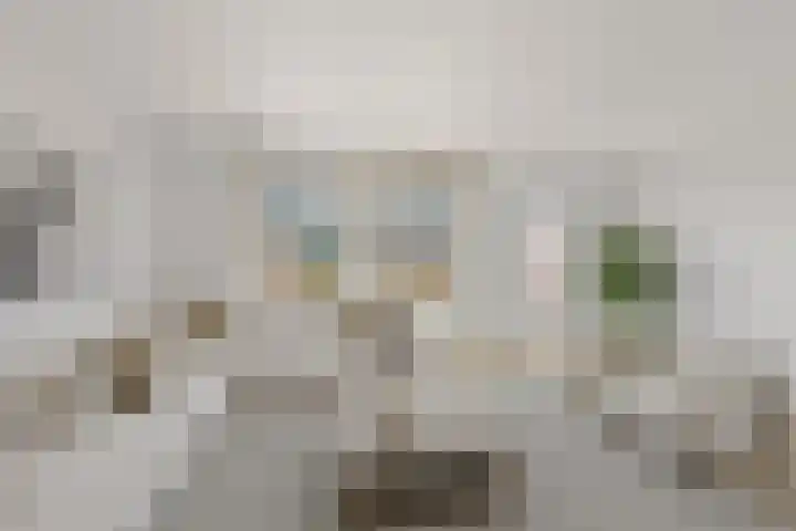 Isebrandtsheerd 119 Groningen thumbnail 11