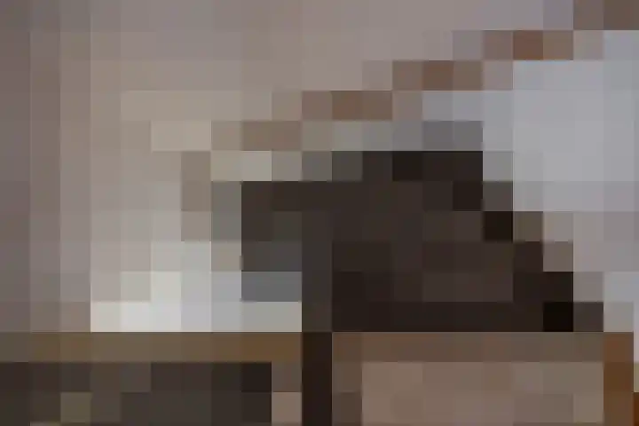 Isebrandtsheerd 119 Groningen thumbnail 17