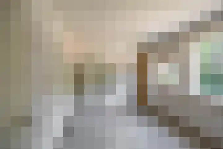 Isebrandtsheerd 119 Groningen thumbnail 19