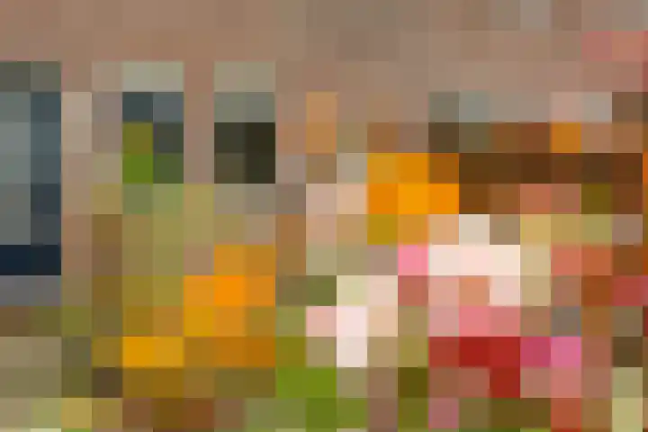 Isebrandtsheerd 119 Groningen thumbnail 25
