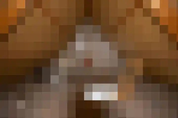 Isebrandtsheerd 119 Groningen thumbnail 26
