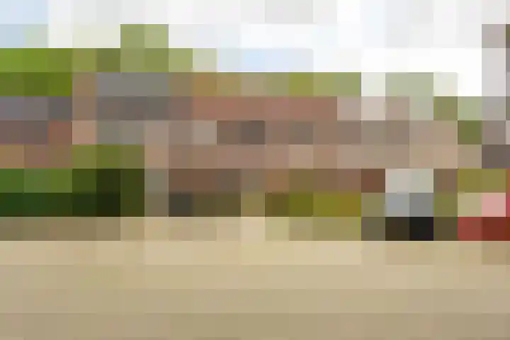 Isebrandtsheerd 119 Groningen thumbnail 29