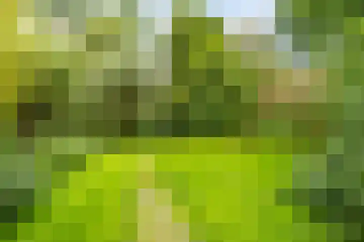 Isebrandtsheerd 119 Groningen thumbnail 30