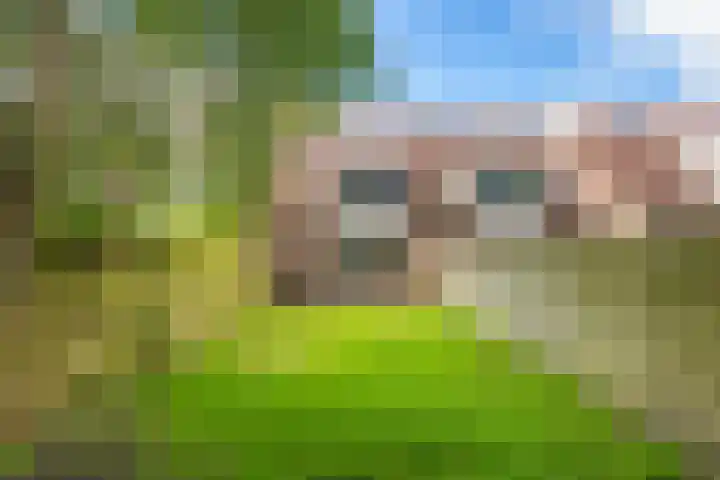 Isebrandtsheerd 119 Groningen thumbnail 4