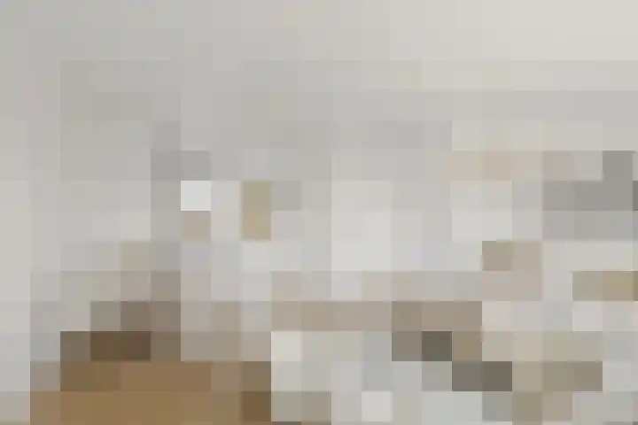 Isebrandtsheerd 119 Groningen thumbnail 6