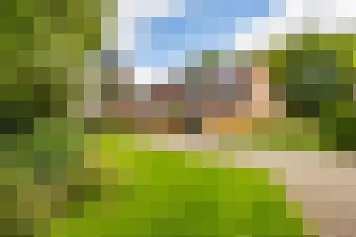 Isebrandtsheerd 119 Groningen thumbnail 7