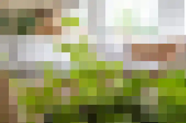 Isebrandtsheerd 127 Groningen thumbnail 14