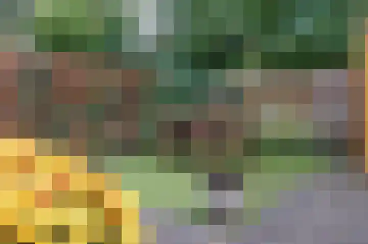 Isebrandtsheerd 127 Groningen thumbnail 30
