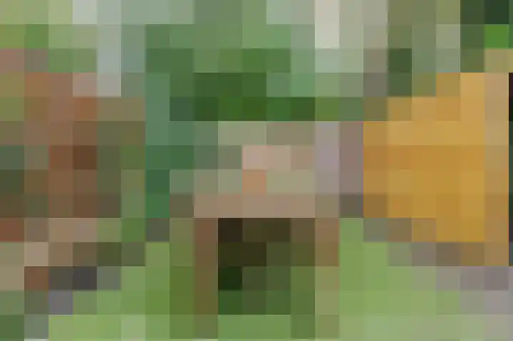 Isebrandtsheerd 127 Groningen thumbnail 31